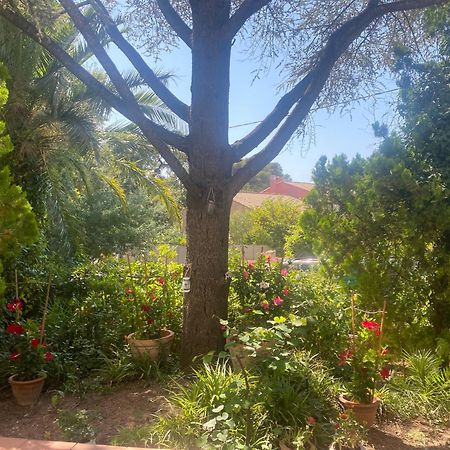 Superbe Rez-De-Villa 6P Calme & Plage A Pied 乐普拉代 外观 照片